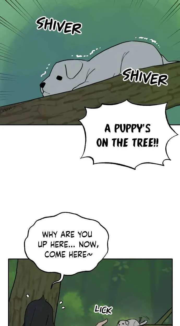 Tiger Coming In Chapter 146 - page 12