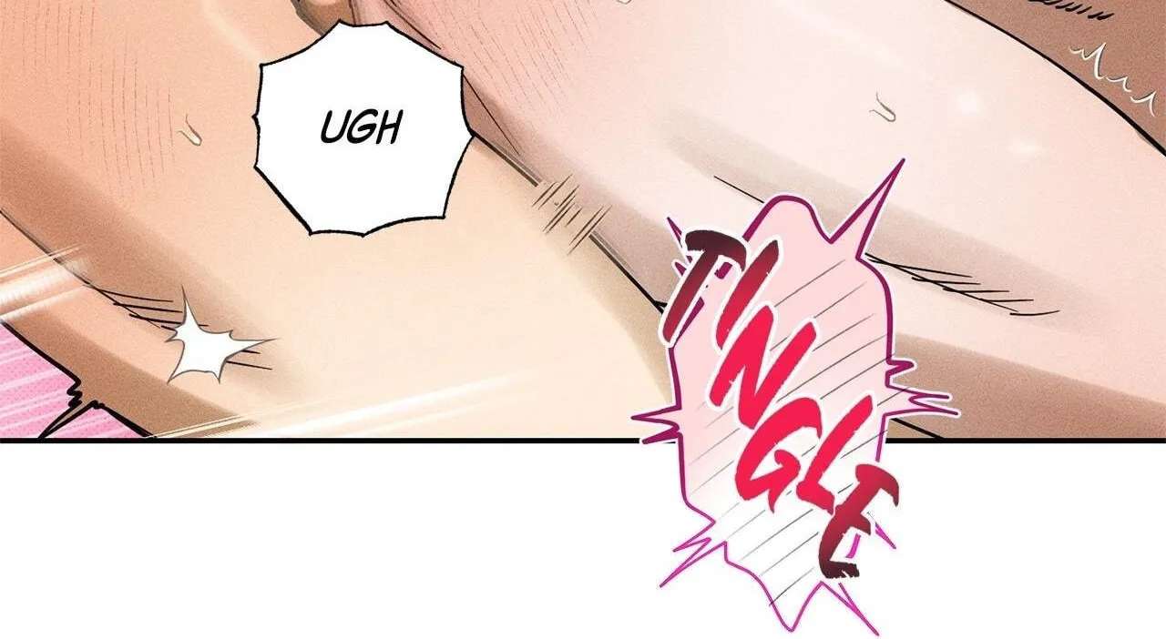 The Light I Give You Chapter 46 - page 147