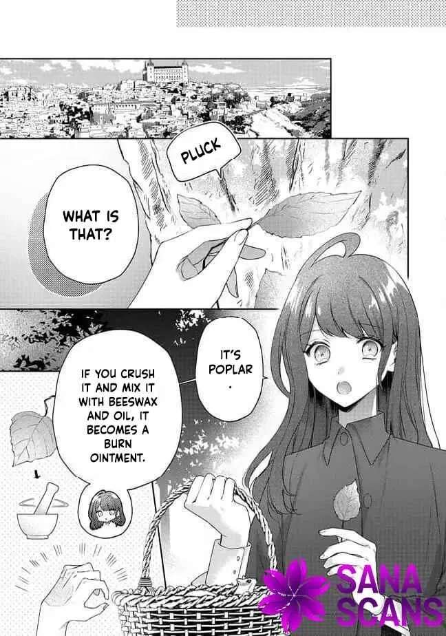 My Fiancé, Who Used to Hate Me, Turned into a Squirrel and Came to Me for Help. Chapter 5 - page 32