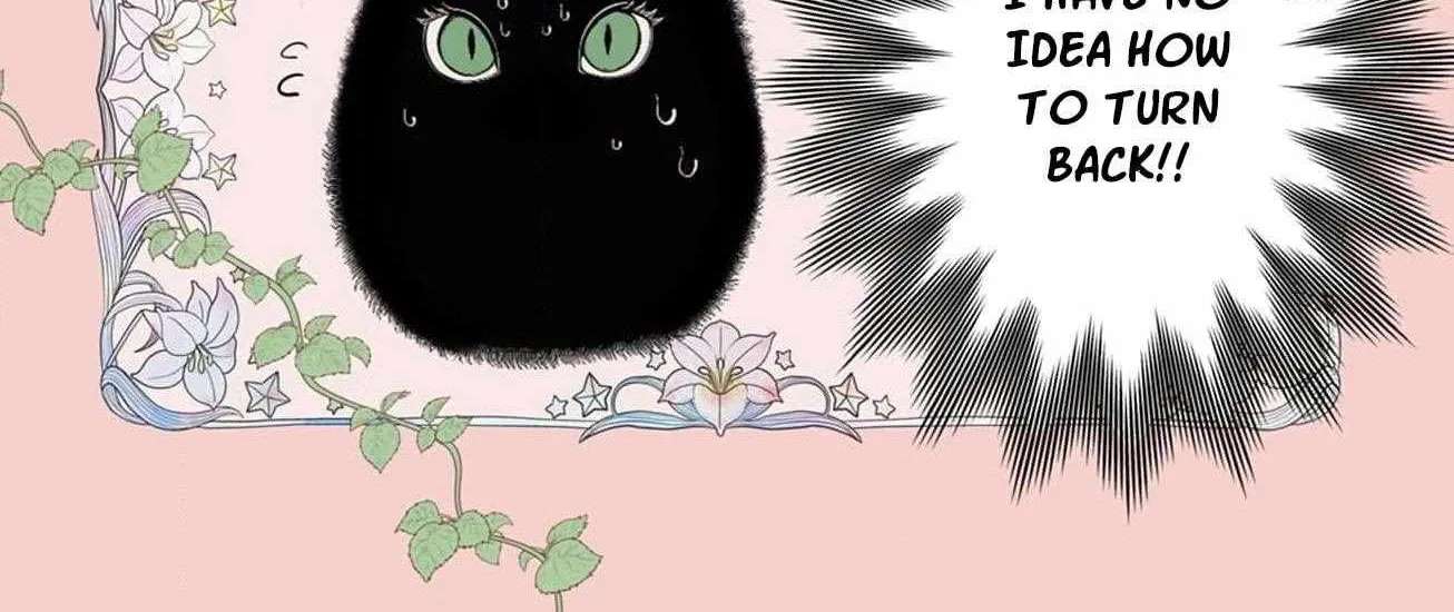 The Nameless Monster and Two Knights: And the Fiancé Is Perplexed Chapter 2 - page 8