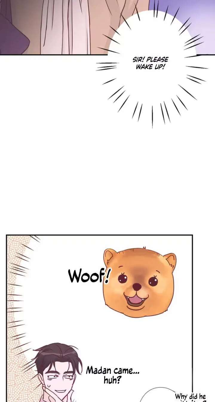 She Is the Best Chapter 36 - page 15