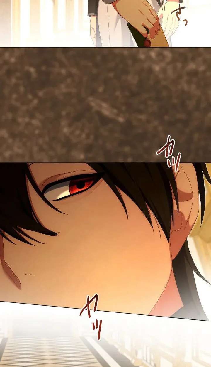 Kanpeki na Akujyo o Goran ni Iremashou Chapter 62 - page 13