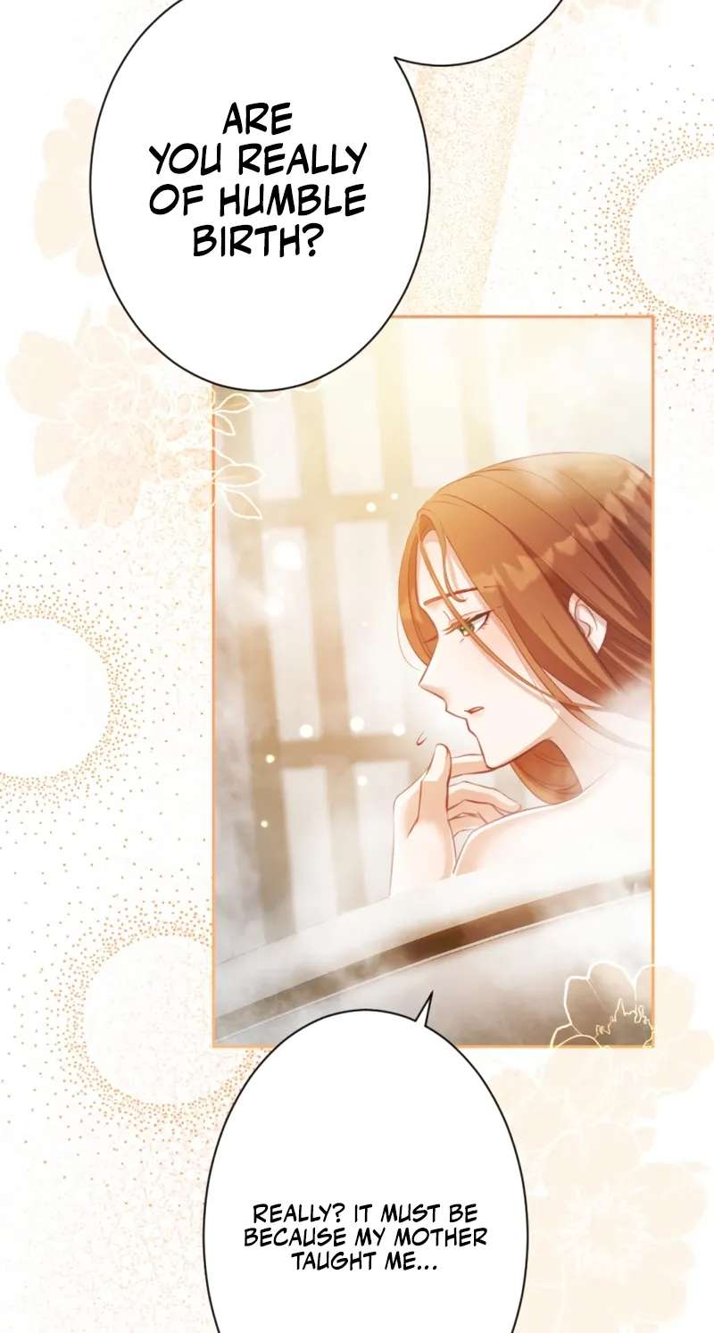 The Unhappy Poison Witch's Happy Marriage Chapter 3 - page 66