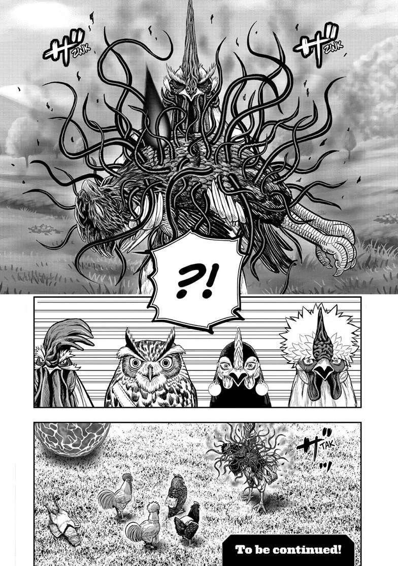 Niwatori Fighter Chapter 63.1 - page 14