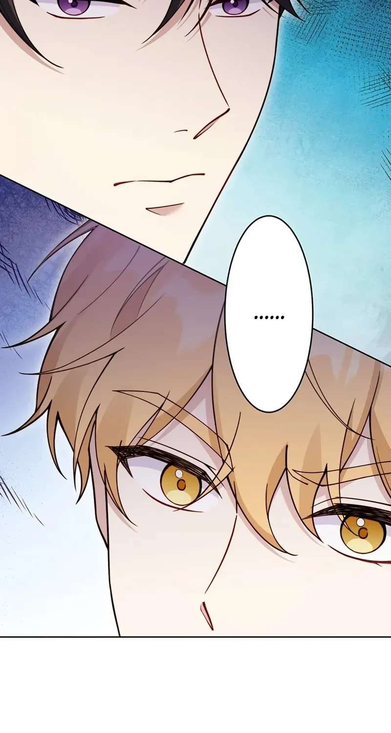 The Saint Bride Sold for 10 Billion to the Enemy Prince Chapter 19 - page 2
