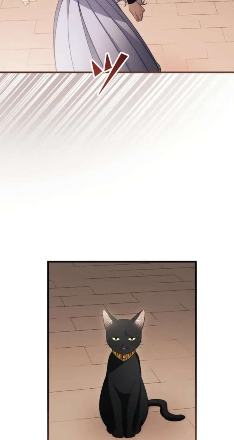 I Was a Black Mage Who Was Condemned, but Now I'm Being Loved After Going Back in Time?! Chapter 21 - page 67