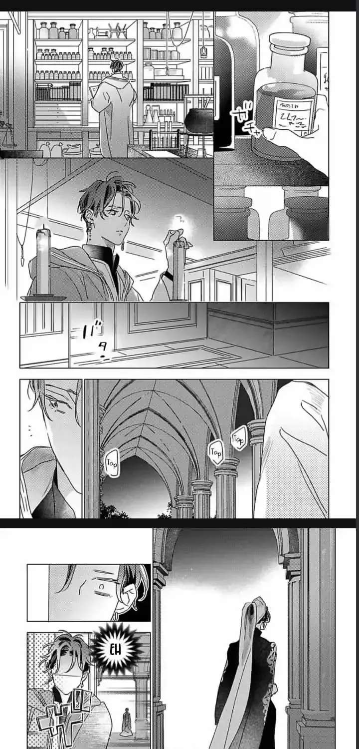 Twinkling Secrets Told Us Tonight Is the Night. Chapter 3 - page 31