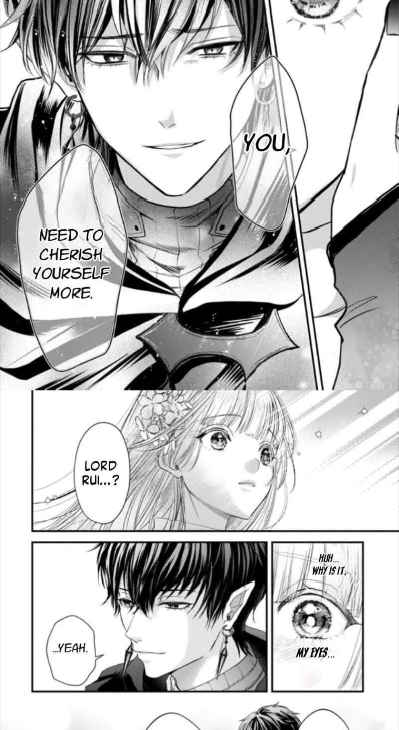 The Happiness of the Sacrificial Princess ~The Lonely Sacrificial Girl Becomes the Bride of the Demon King~ Chapter 2 - page 29