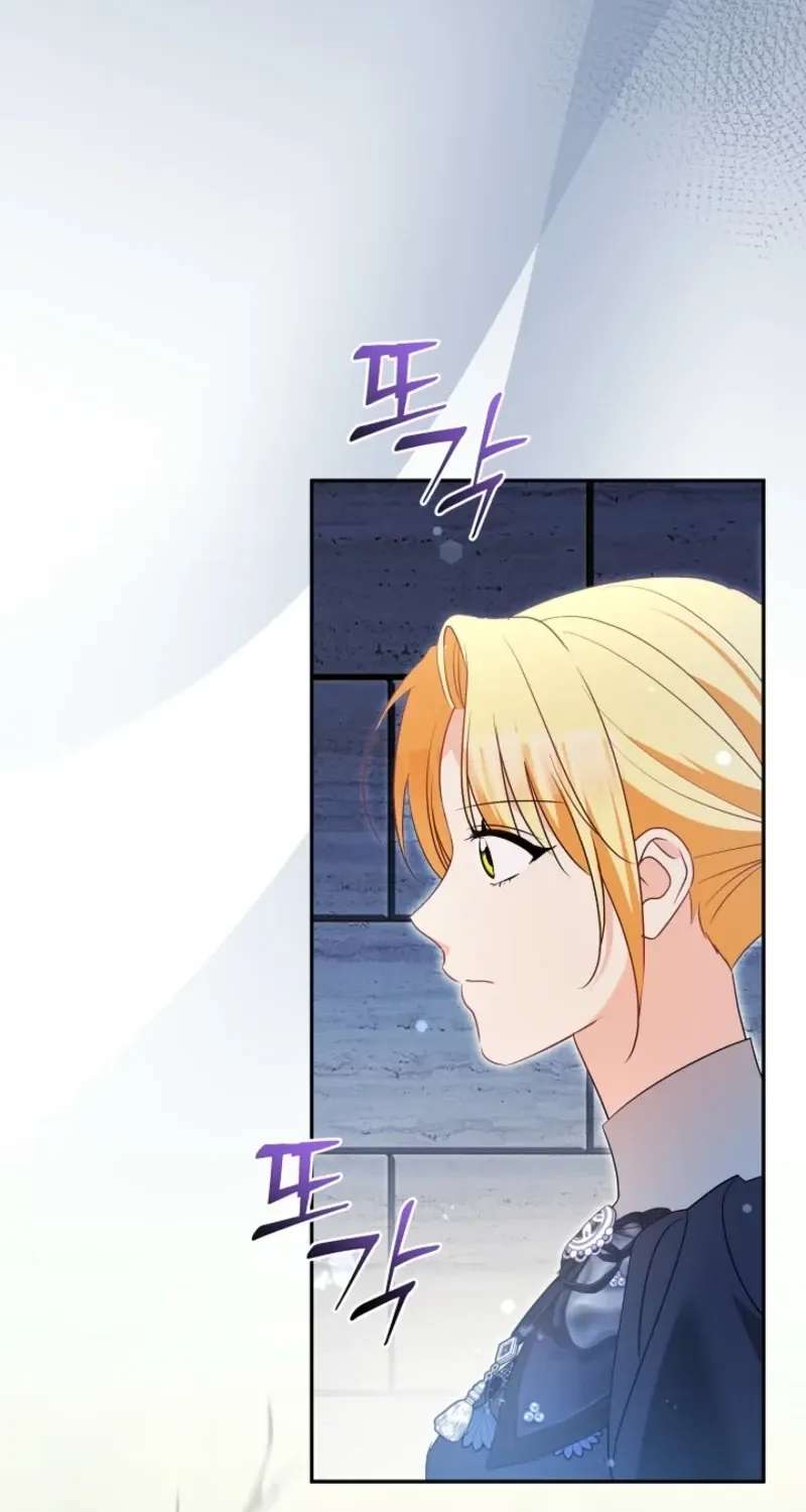 I Want a Divorce, Please Stop Obsessing Over Me! Chapter 60 - page 11