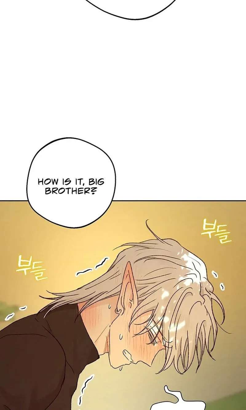 The Mating of Elves Chapter 69 - page 98