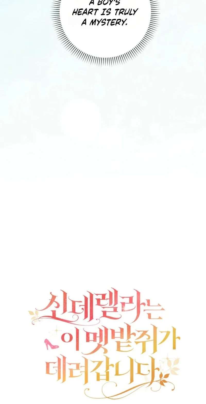 Cinderella's Pocket-Sized Protector Chapter 59 - page 27