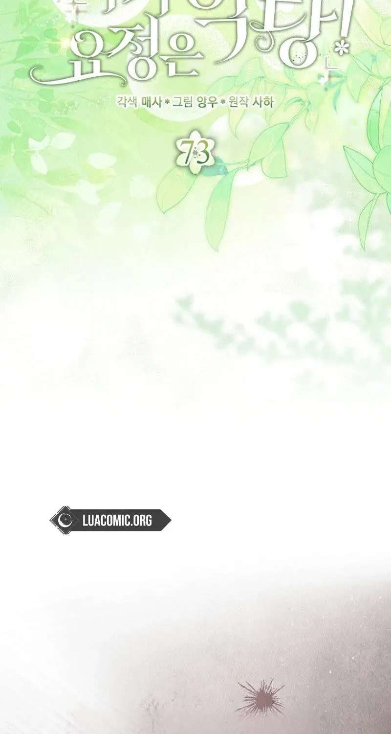 The Baby Fairy is a Villain Chapter 73 - page 28