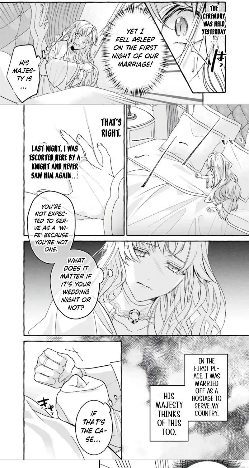 The Ruthless Emperor Is Doting on the Hostage Princess Chapter 1 - page 18