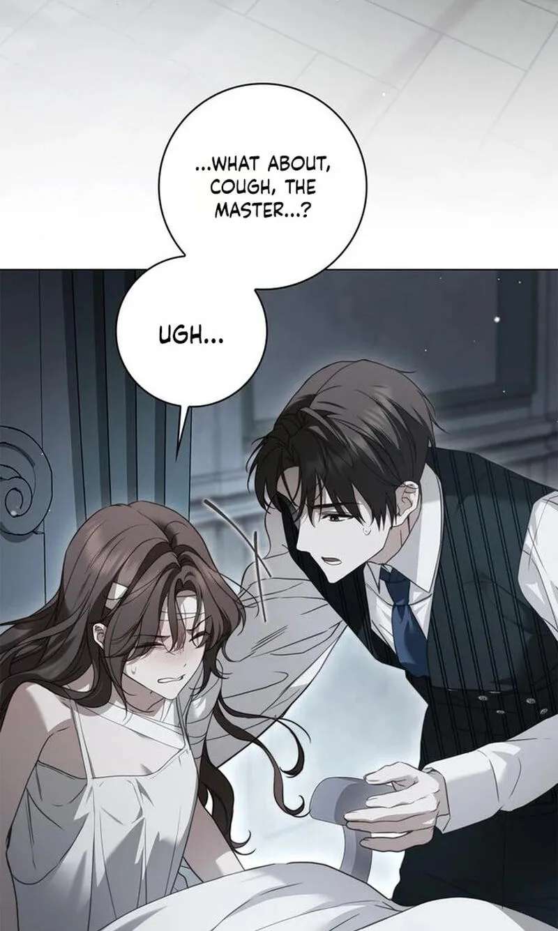 The Count's Secret Maid Chapter 110 - page 3