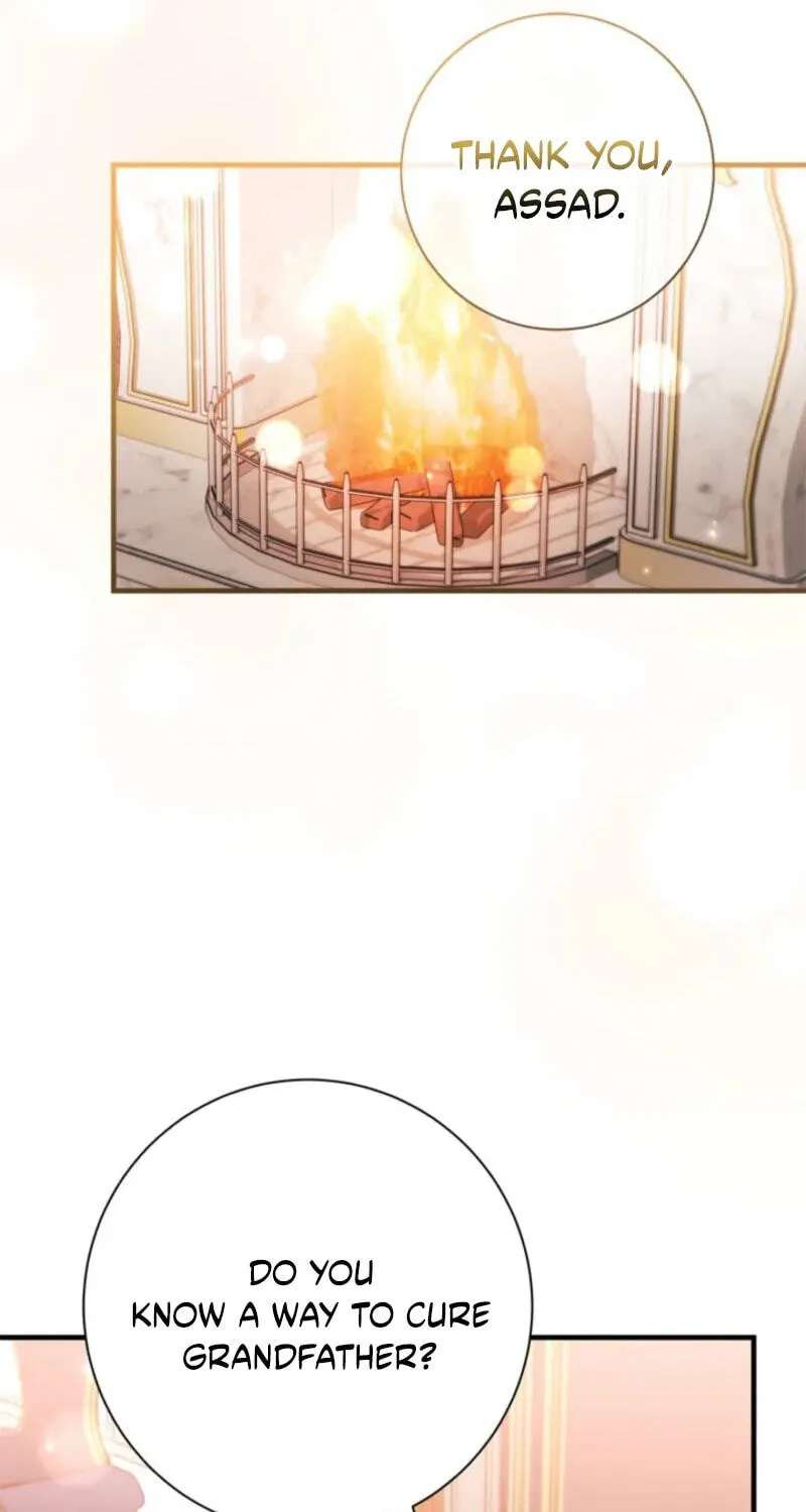 The Count's Beloved Contract Young Lady Chapter 41 - page 63