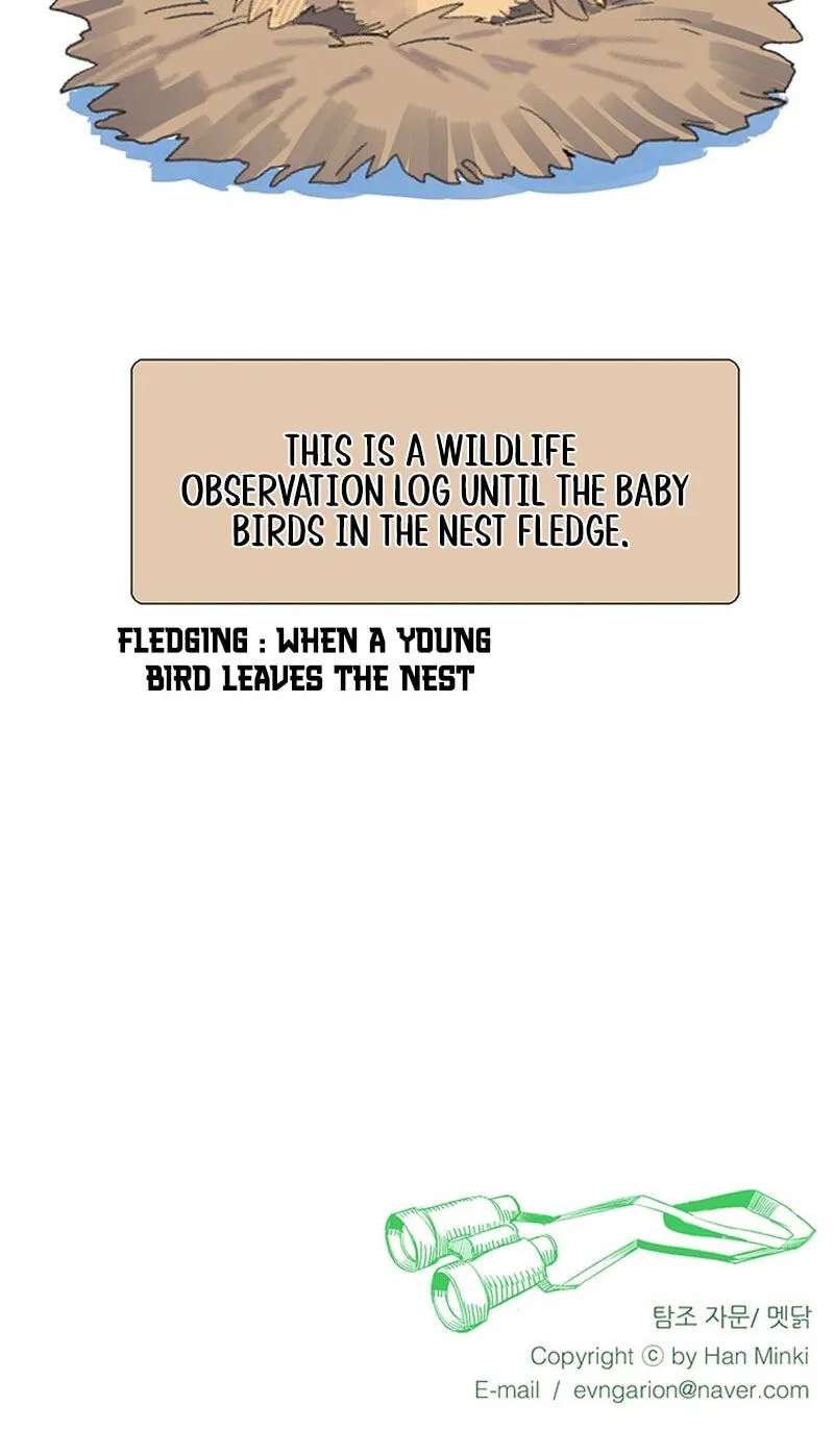 Youth Observation Chapter 1 - page 141