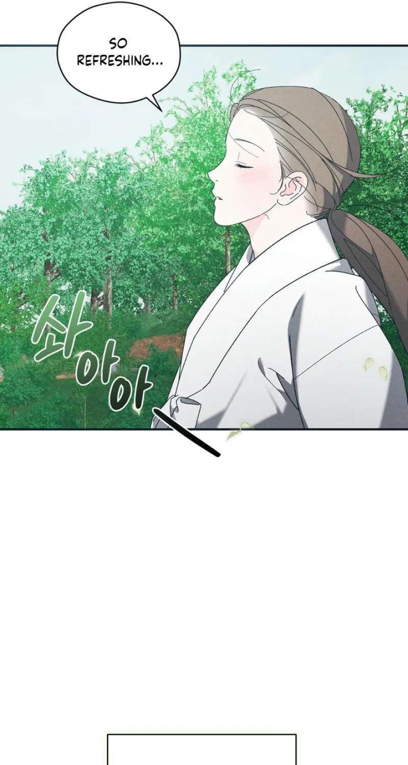 The Meaning of the White Pine Chapter 36 - page 45