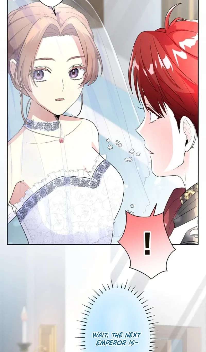 My Favorite Idol Is Protected by the Strongest Fiancé Chapter 30 - page 62
