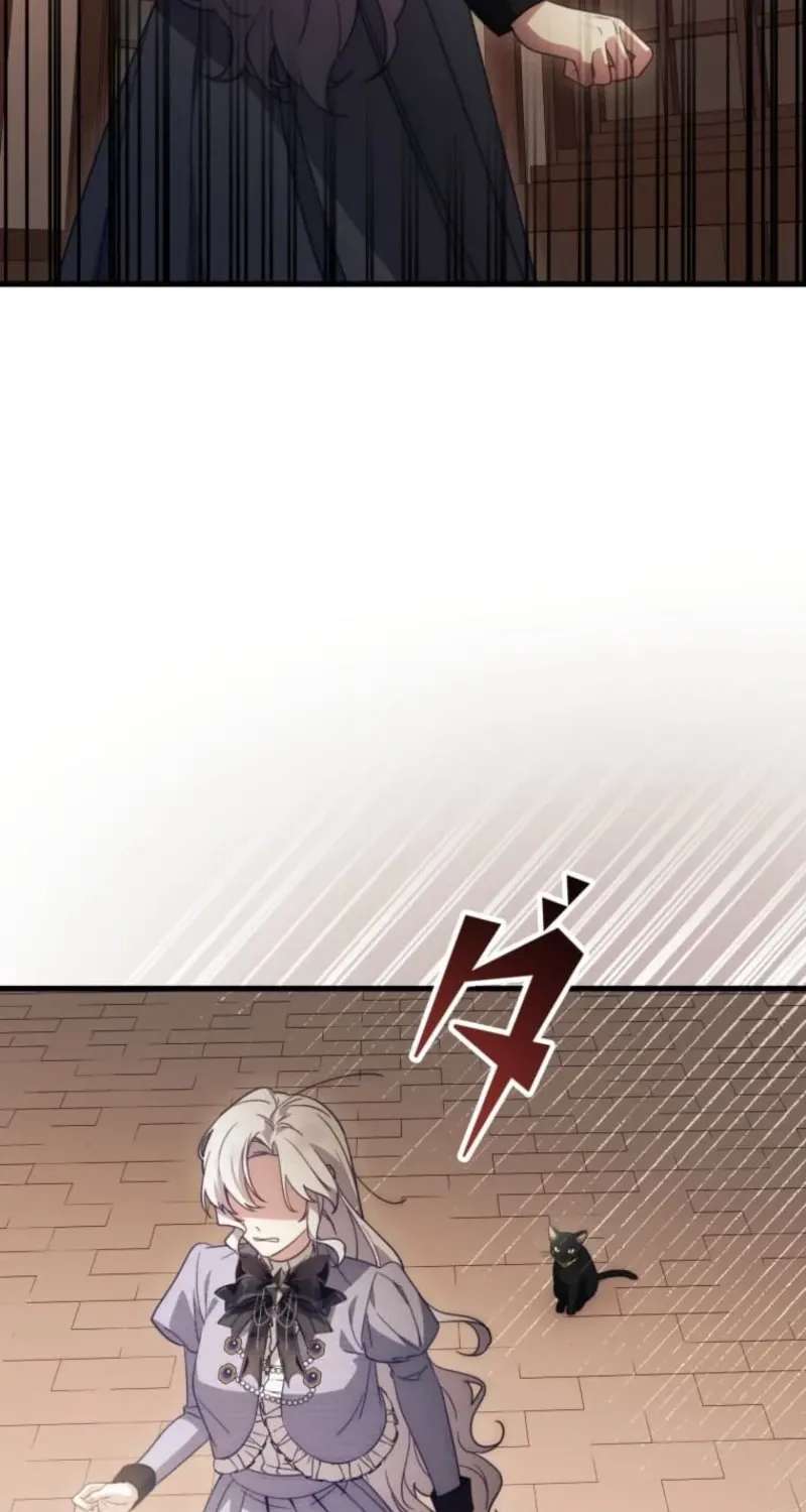 I Was a Black Mage Who Was Condemned, but Now I'm Being Loved After Going Back in Time?! Chapter 21 - page 66