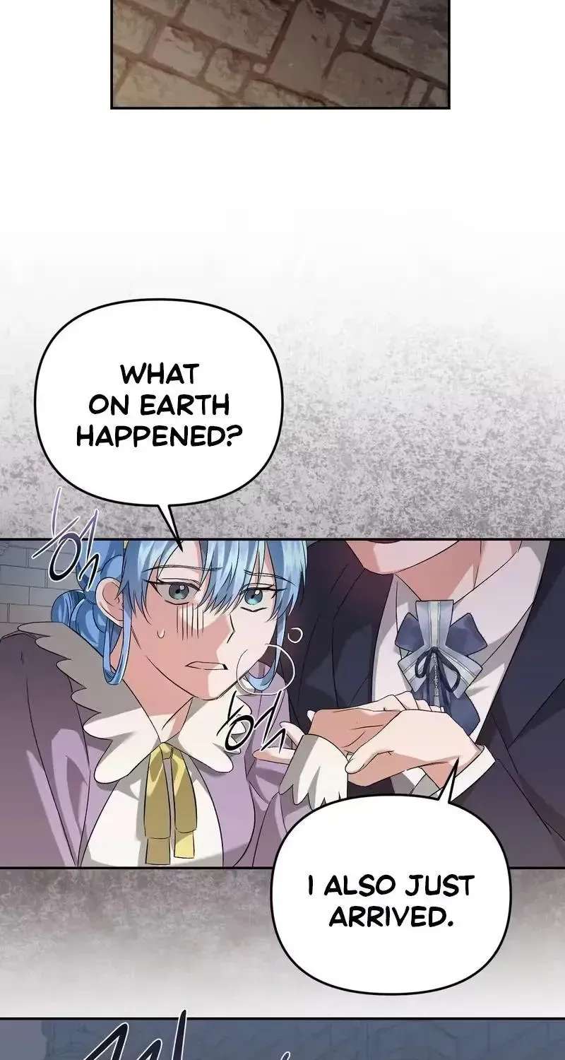 I Reincarnated as the Princess of a Country That Is Going to Destroyed by Male Protagonist Chapter 28 - page 4