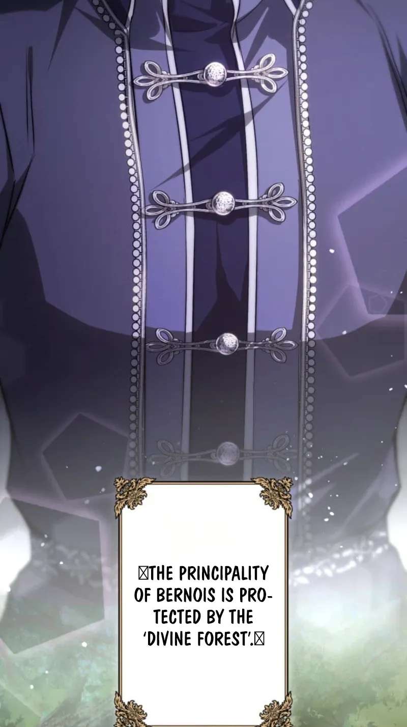 I Was Reincarnated as the Villainess’s Sister Chapter 31 - page 47