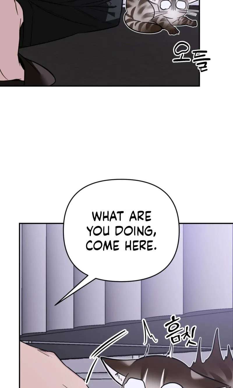 Give Birth to a Baby Wildcat for Me, Unless You Want to See Me Go Insane! Chapter 38 - page 61