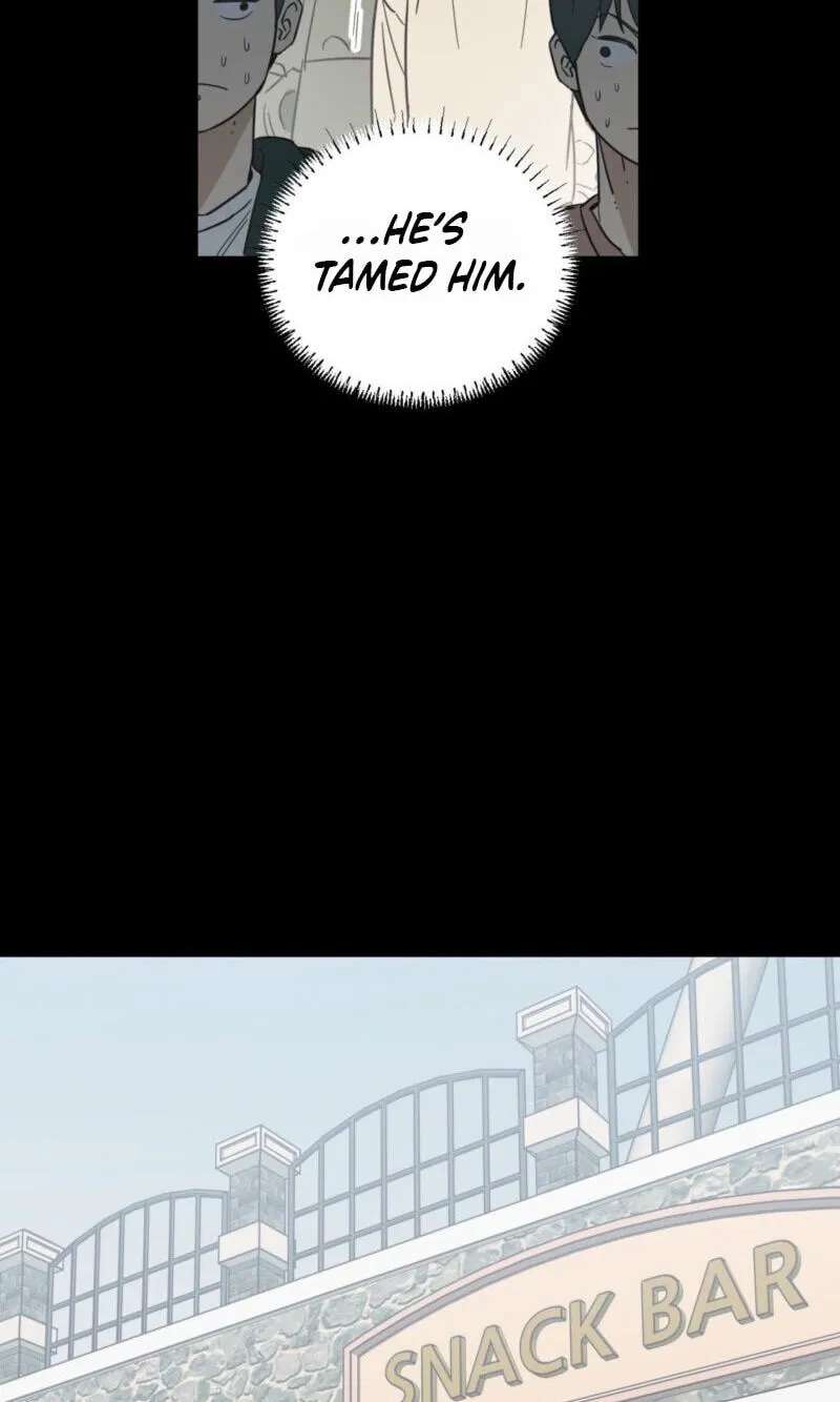 Cat Choice Chapter 29 - page 17