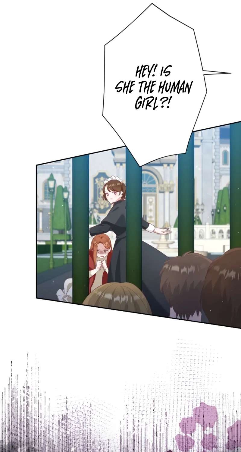 The Unhappy Poison Witch's Happy Marriage Chapter 9 - page 25