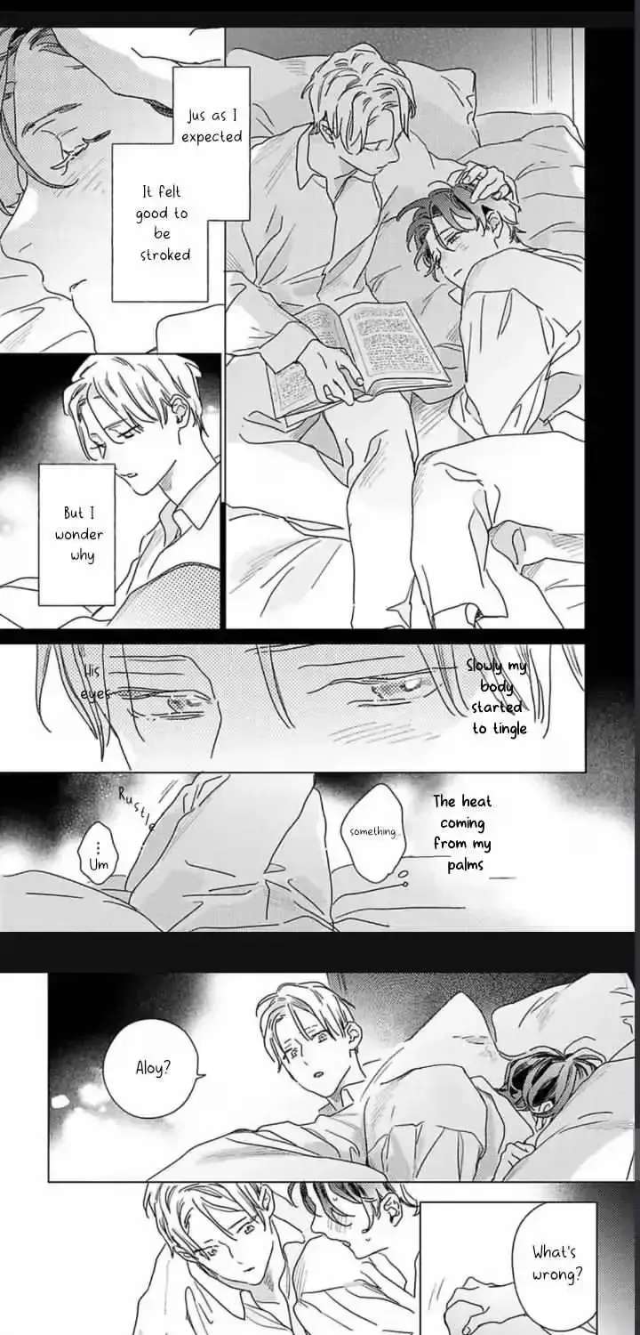 Twinkling Secrets Told Us Tonight Is the Night. Chapter 3 - page 19