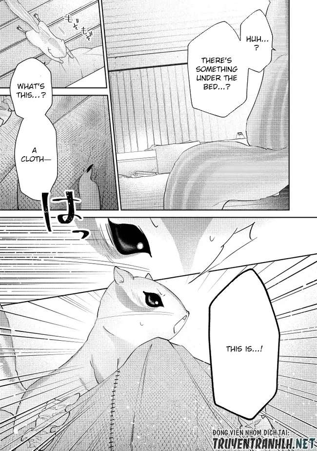 My Fiancé, Who Used to Hate Me, Turned into a Squirrel and Came to Me for Help. Chapter 3 - page 27