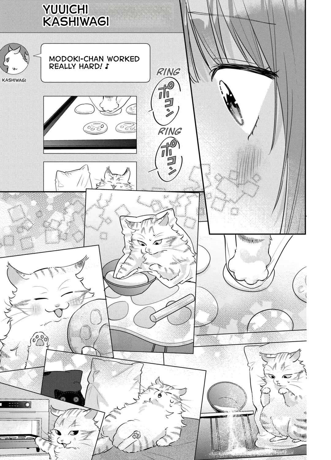 Is the Cat I Picked Up Really a Cat? Chapter 3.2 - page 16