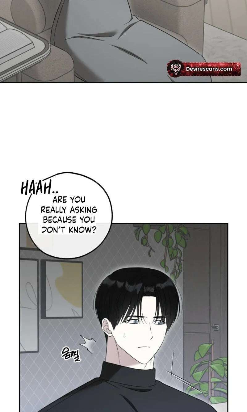 The Purrfect Match Chapter 45 - page 28