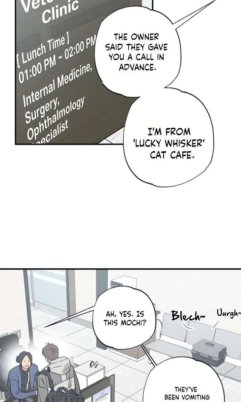 Cat Choice Chapter 29 - page 48