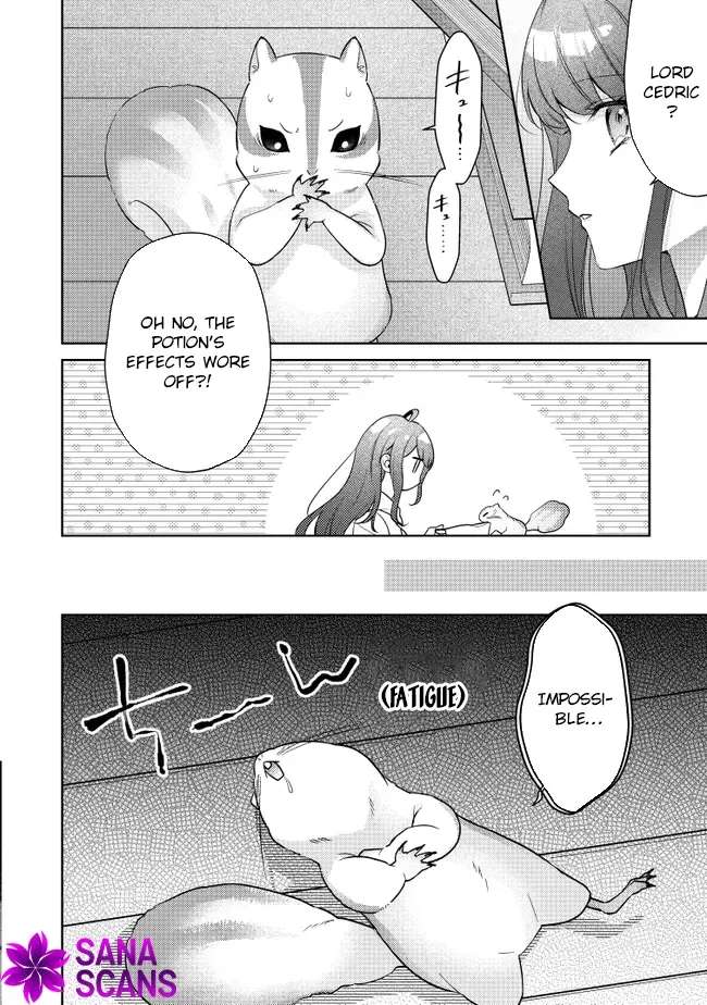 My Fiancé, Who Used to Hate Me, Turned into a Squirrel and Came to Me for Help. Chapter 1 - page 41