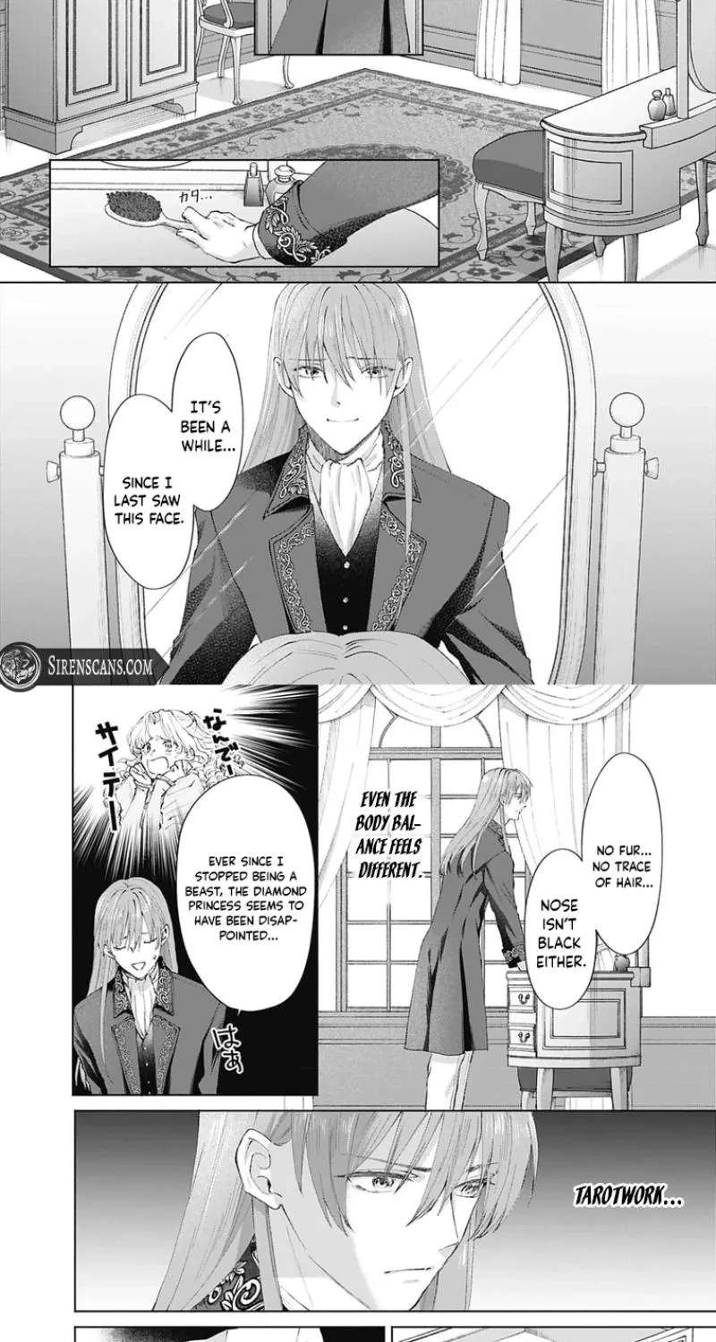Super Beauty & the Beast: I Kissed Him and He Turned into a Prince?! Now I Have to Recast the Spell! Chapter 2 - page 3