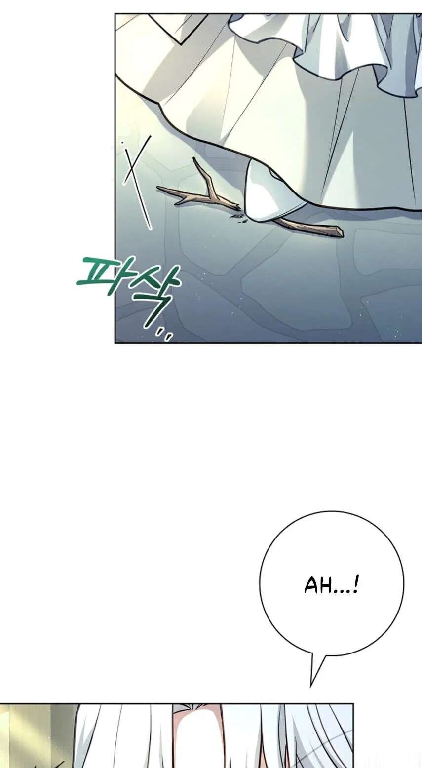 Darling, Why Can't We Divorce? Chapter 101 - page 47