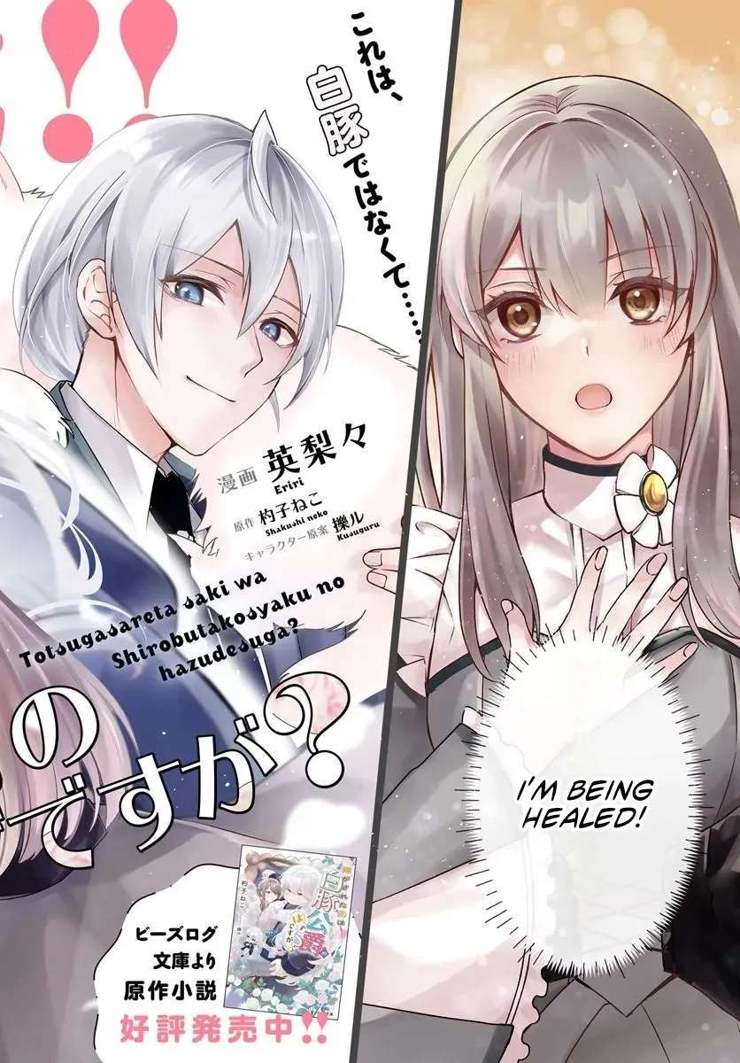 Yome ga Sareta Saki wa Shiro Buta Koshaku no hazu desuga? Chapter 1 - page 3