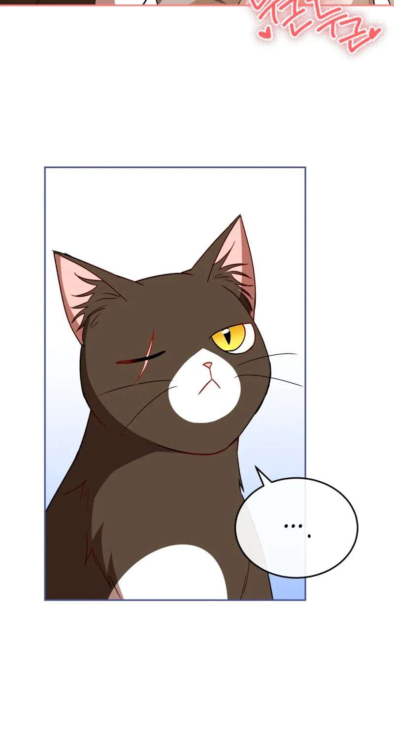 Hello! Veterinarian! Chapter 146 - page 14