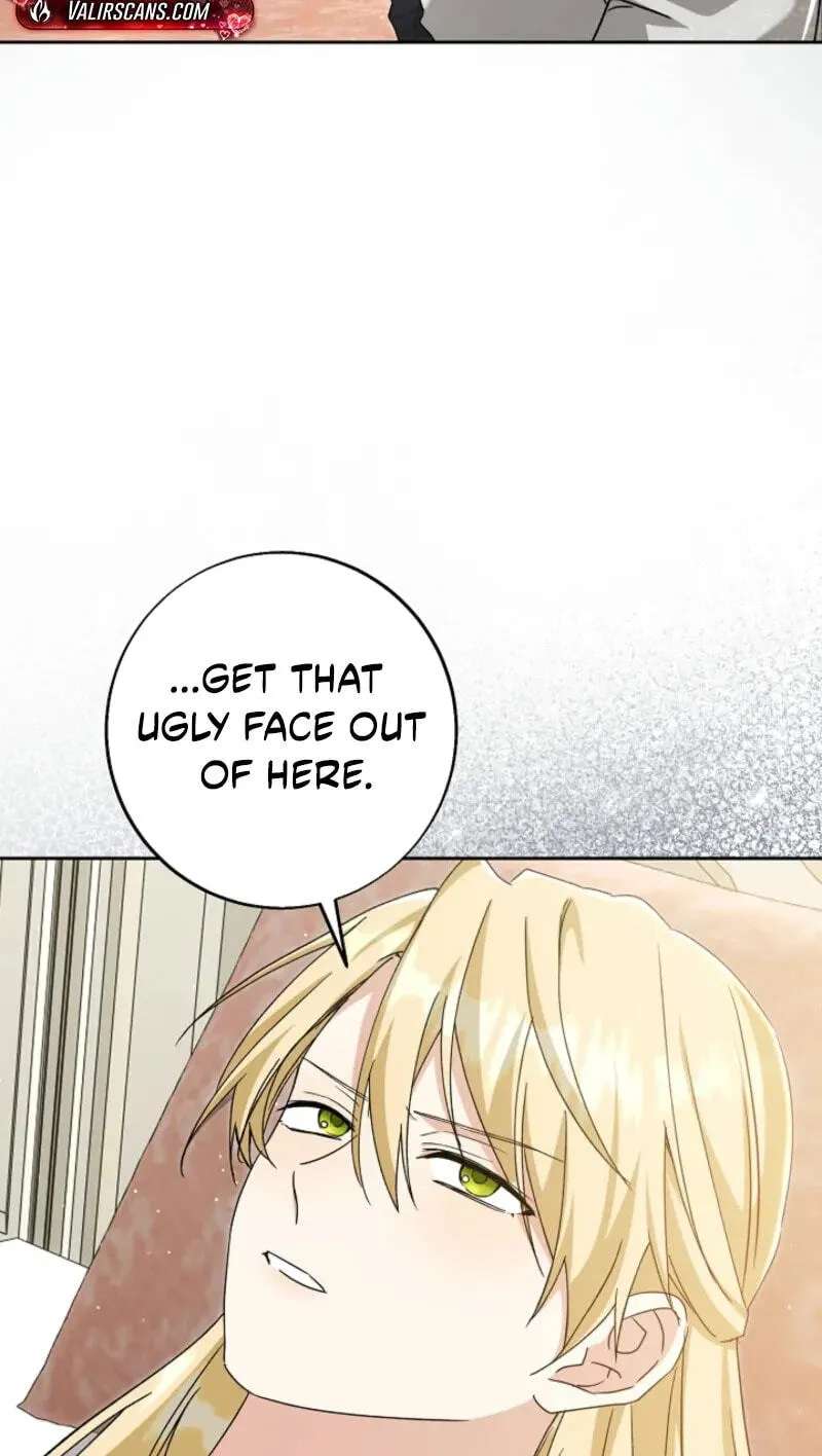 I Opened an Illegal Veterinary Clinic in Another World Chapter 48 - page 43