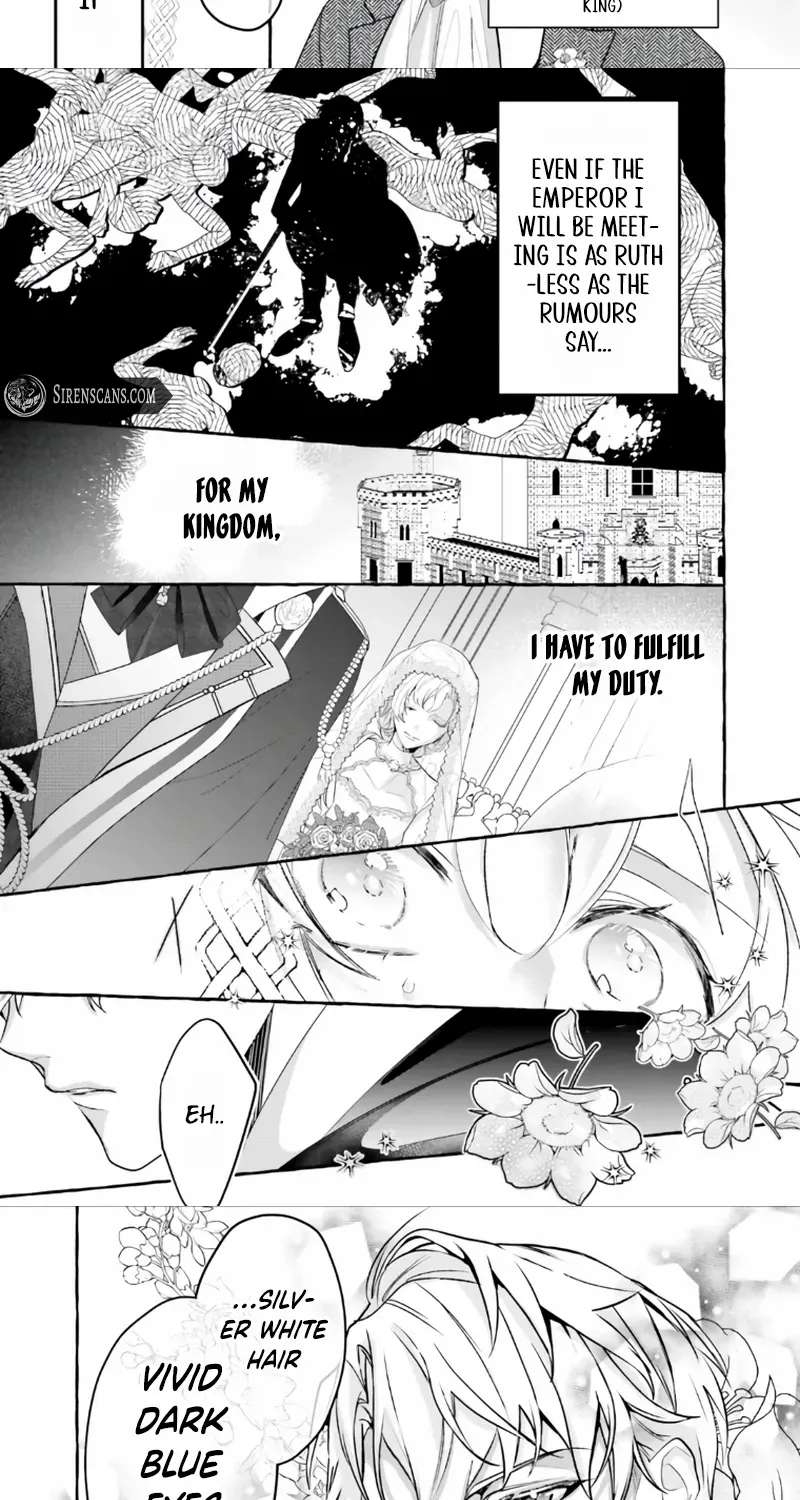 The Ruthless Emperor Is Doting on the Hostage Princess Chapter 1 - page 11