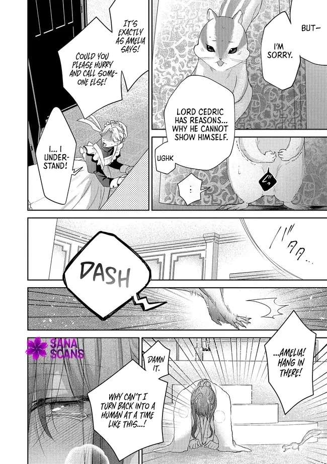 My Fiancé, Who Used to Hate Me, Turned into a Squirrel and Came to Me for Help. Chapter 9 - page 35