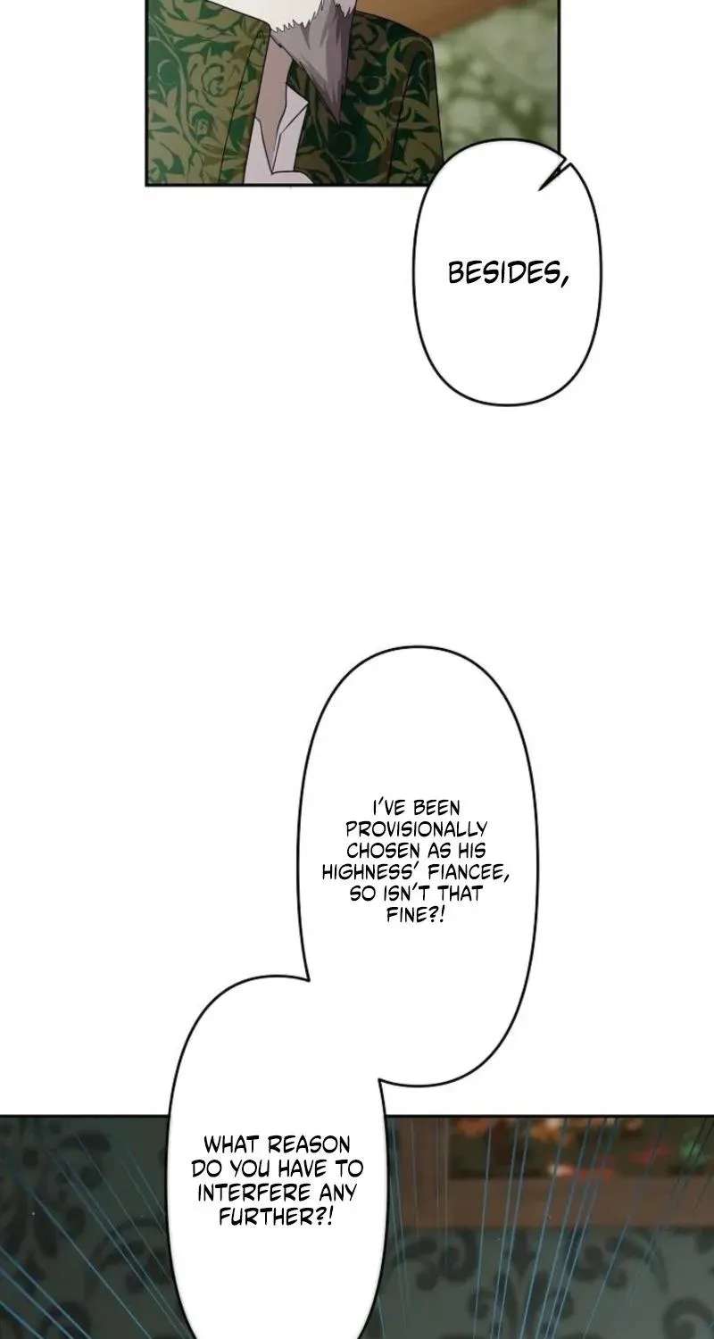 I Tried to be a Villainess, But Now I'm Being Obsessed Over?! Chapter 34 - page 27