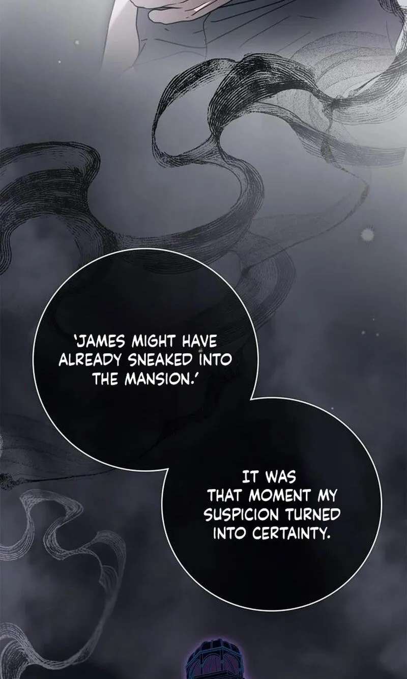 The Count's Secret Maid Chapter 110 - page 39