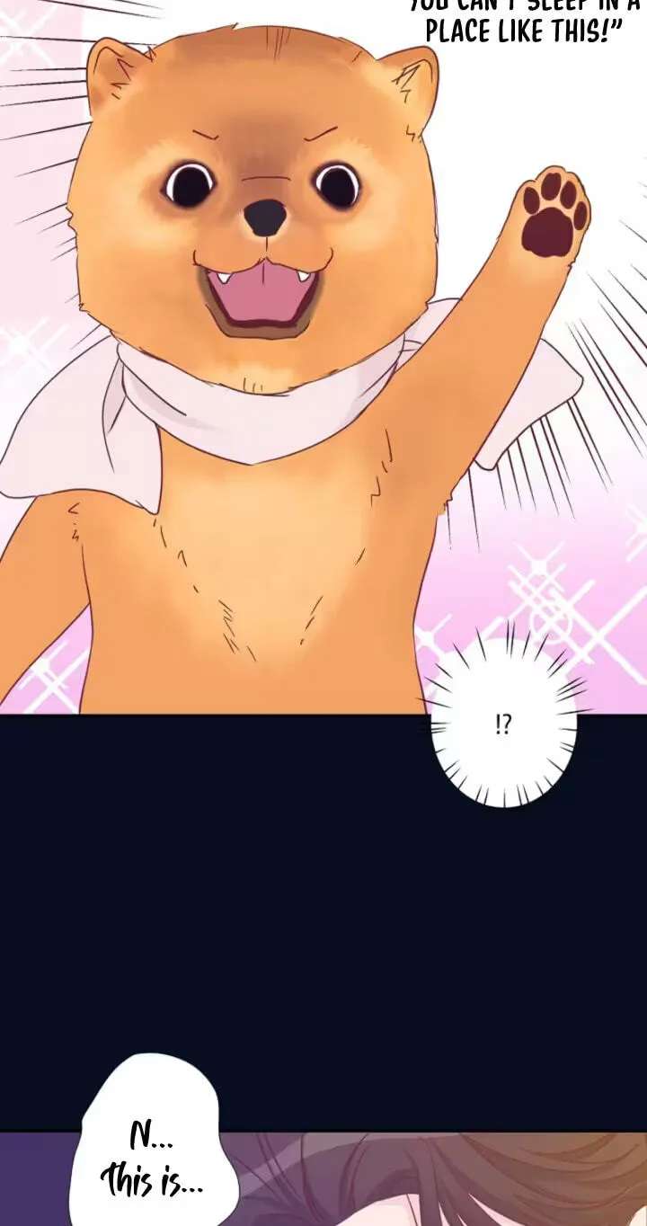 She Is the Best Chapter 35 - page 53