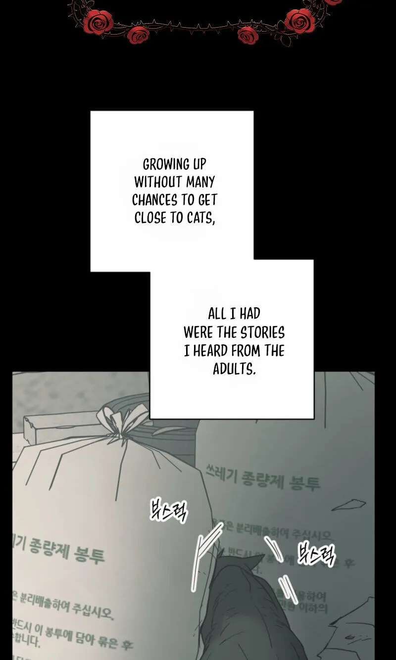 Cat Choice Chapter 28 - page 2