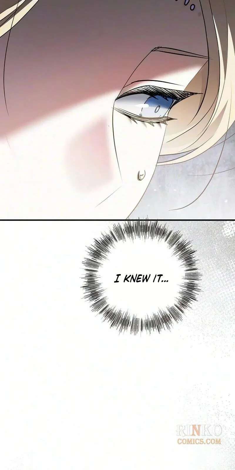 I Had My Position as a Wife Stolen by My Twin Chapter 15 - page 97