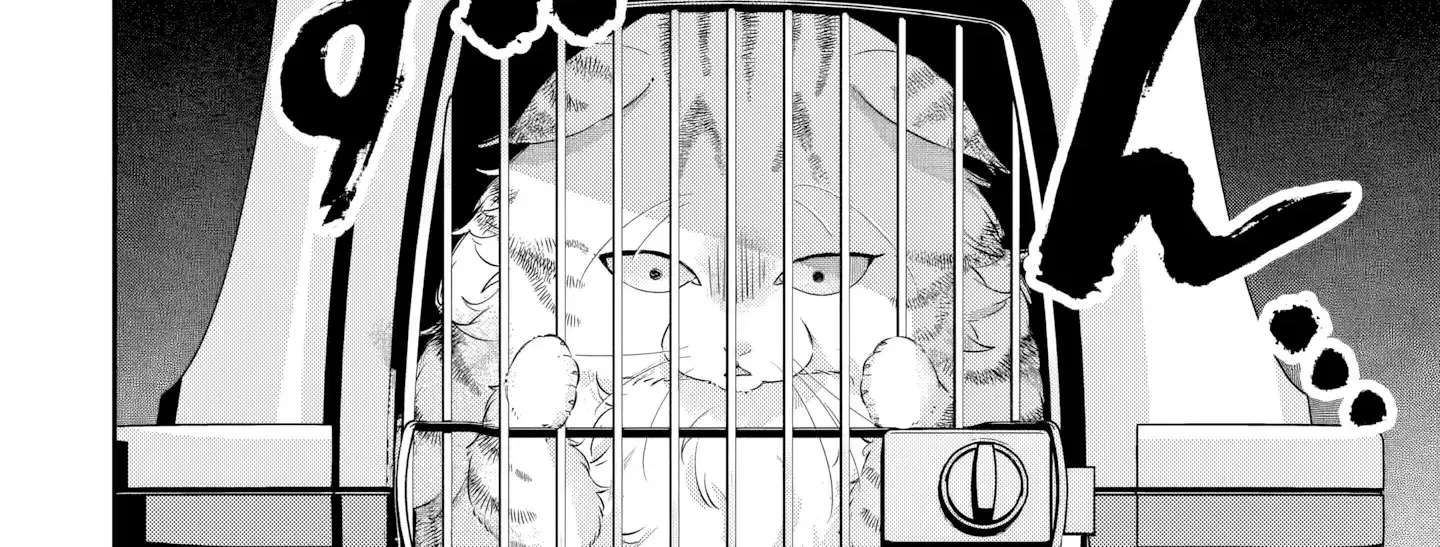Is the Cat I Picked Up Really a Cat? Chapter 2 - page 17