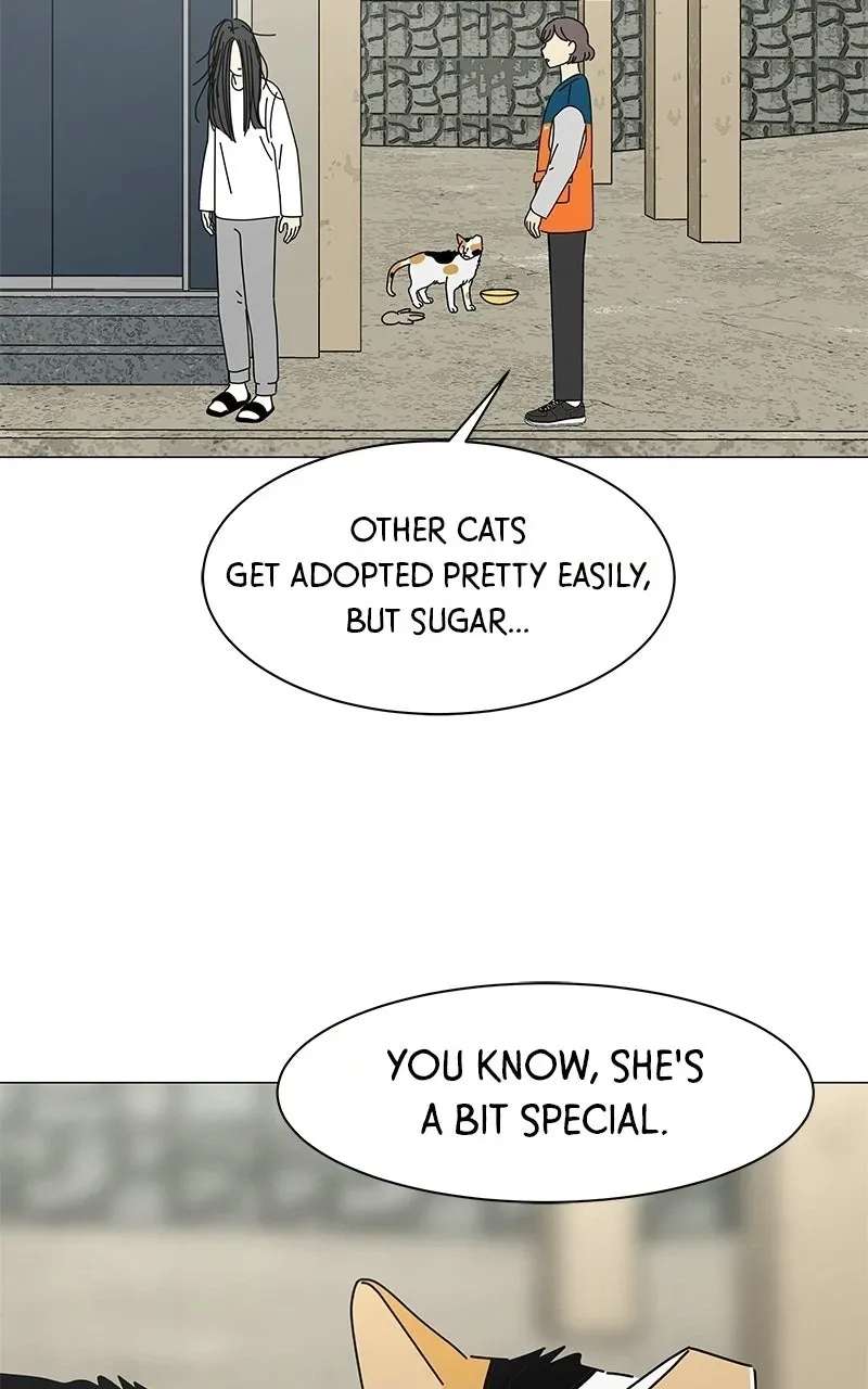 Sol in Wonderland Chapter 15 - page 10