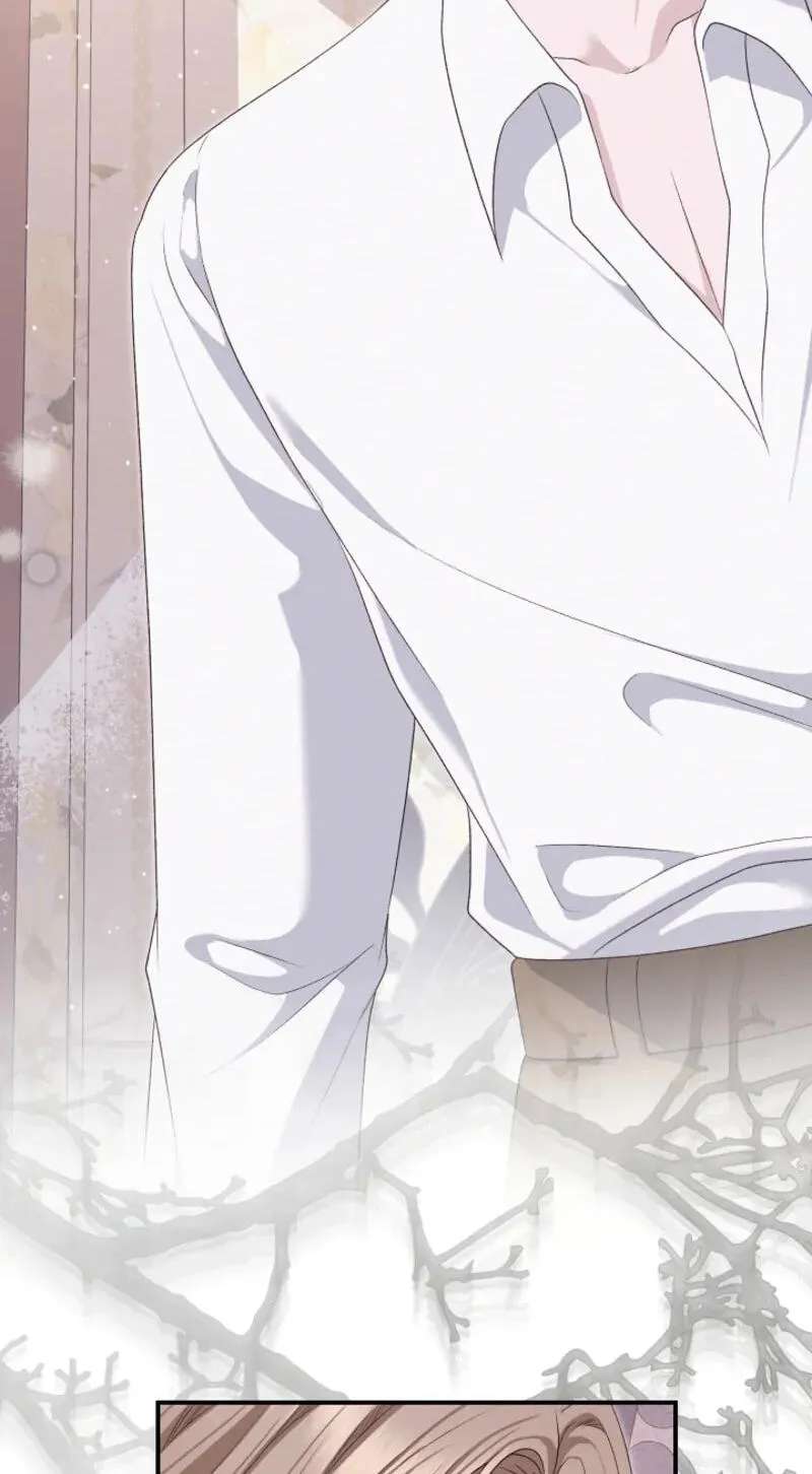 When Cinderella’s Magic Fades Away Chapter 106 - page 21