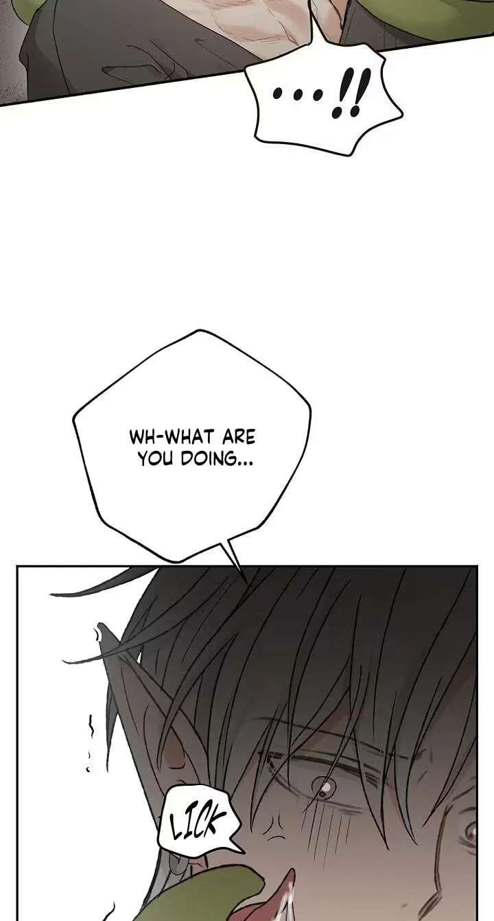 The Mating of Elves Chapter 68 - page 82